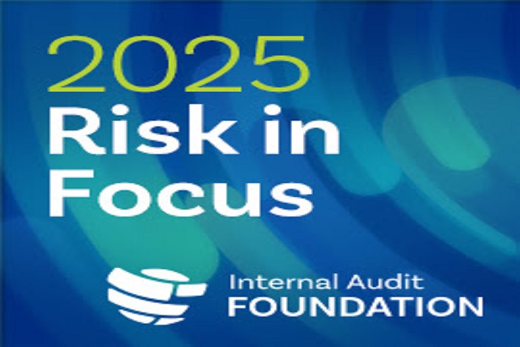 IIA webinar - Risk in Focus 2025, 06.11.2024.